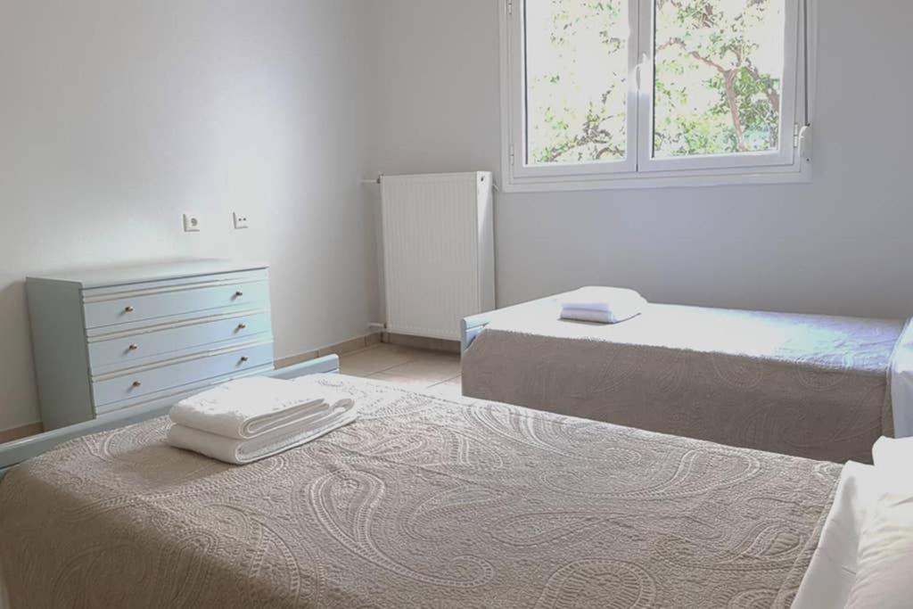 A Great Stay At A Comfortable Large Apartment Атина Екстериор снимка